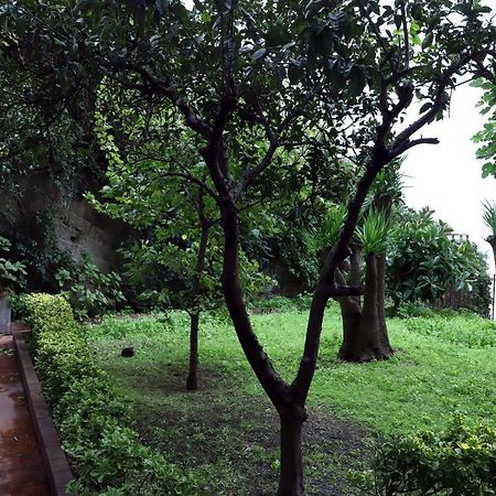 Casa Cesca Apartment Napoli Ngoại thất bức ảnh